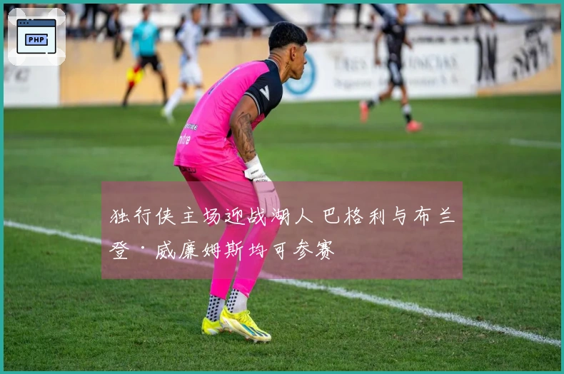 独行侠主场迎战湖人 巴格利与布兰登·威廉姆斯均可参赛